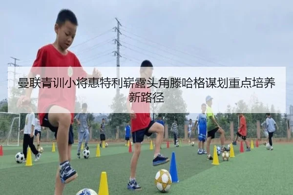 img_1783323233536_24_1_446.jpg